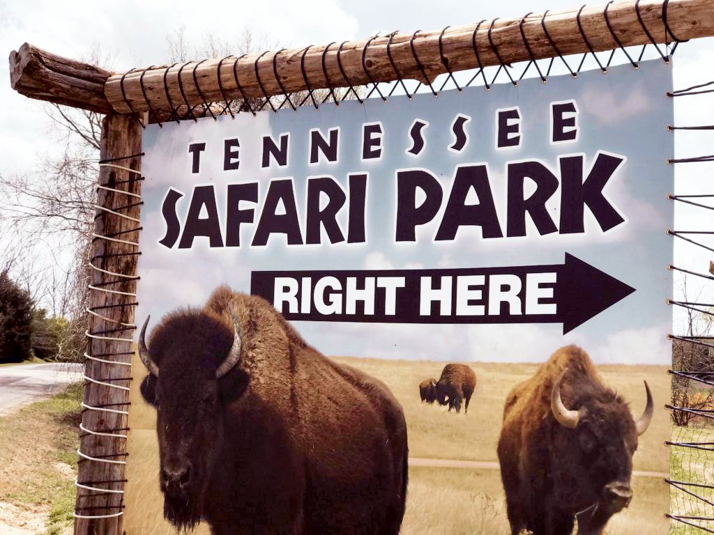 who owns tn safari park